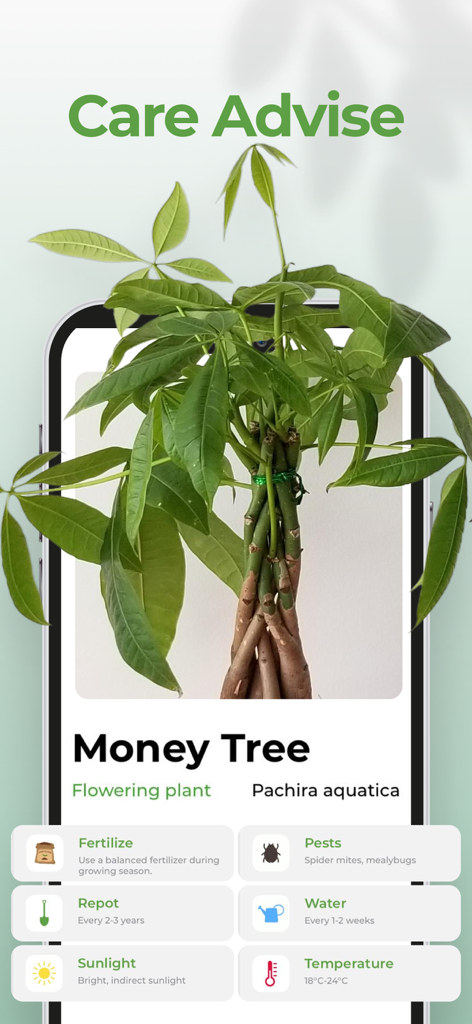 Plant AI: Scanner & Identifier - Pantalla de la aplicación móvil que muestra consejos de cuidado para un árbol del dinero, incluyendo fertilización, trasplante y consejos de riego