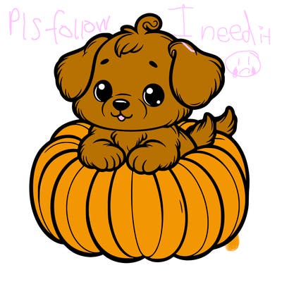 cute little puppy in a pumpkin