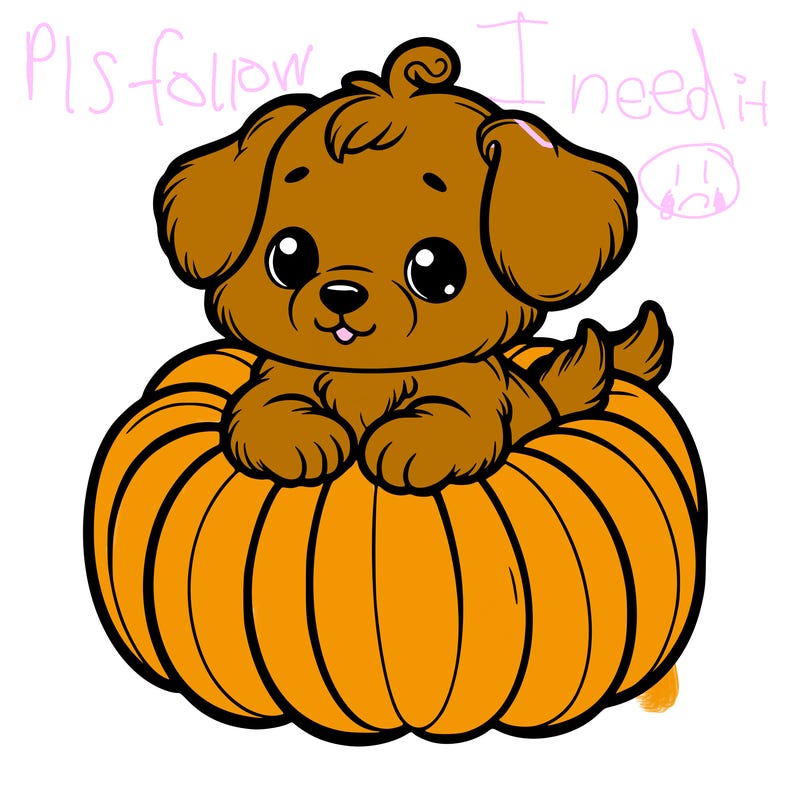 cute little puppy in a pumpkin