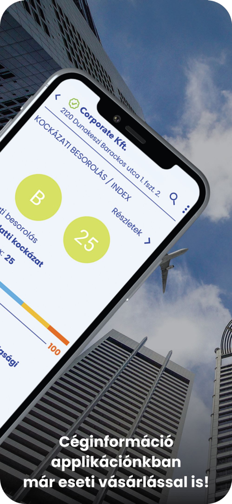 Opten Cégtár céginformáció - Smartphone screen showing the Opten Cegtar app with company risk ratings and data