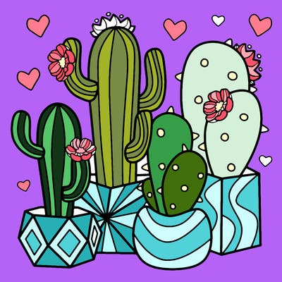 flowers_24_new
