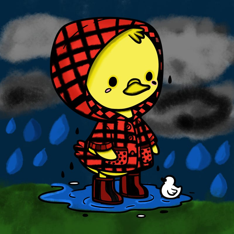 baby duck in a rain coat and boots, in a puddle while it’s raining
