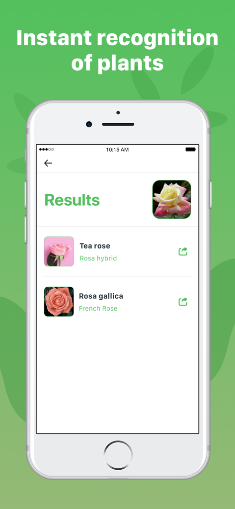 Plant Identification ++ - Bildschirm einer mobilen App, der die Ergebnisse der Pflanzenidentifikation für verschiedene Rosensorten zeigt.