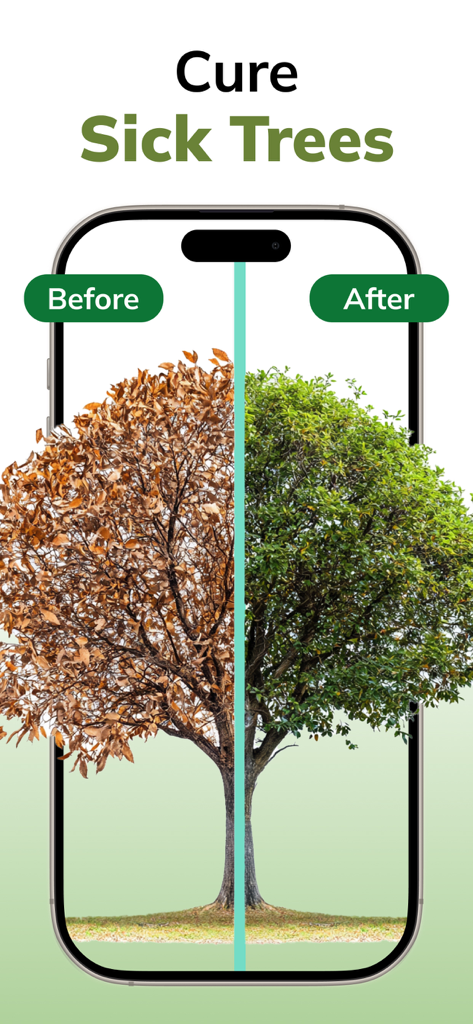 Tree Identifier AI: ID Trees - Before and after comparison showing a sick tree with brown leaves restored to health with green foliage