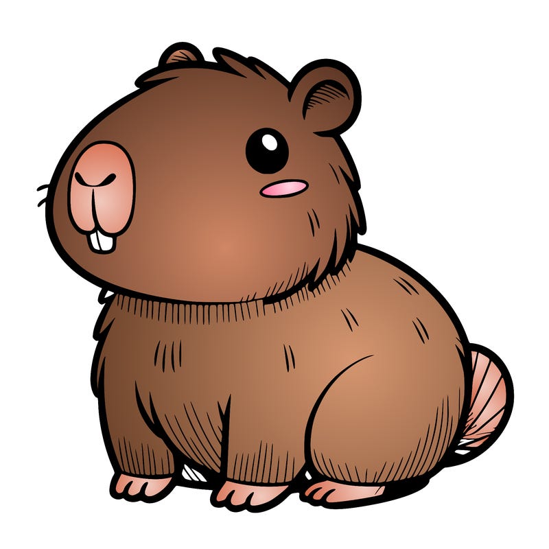 cute capybara