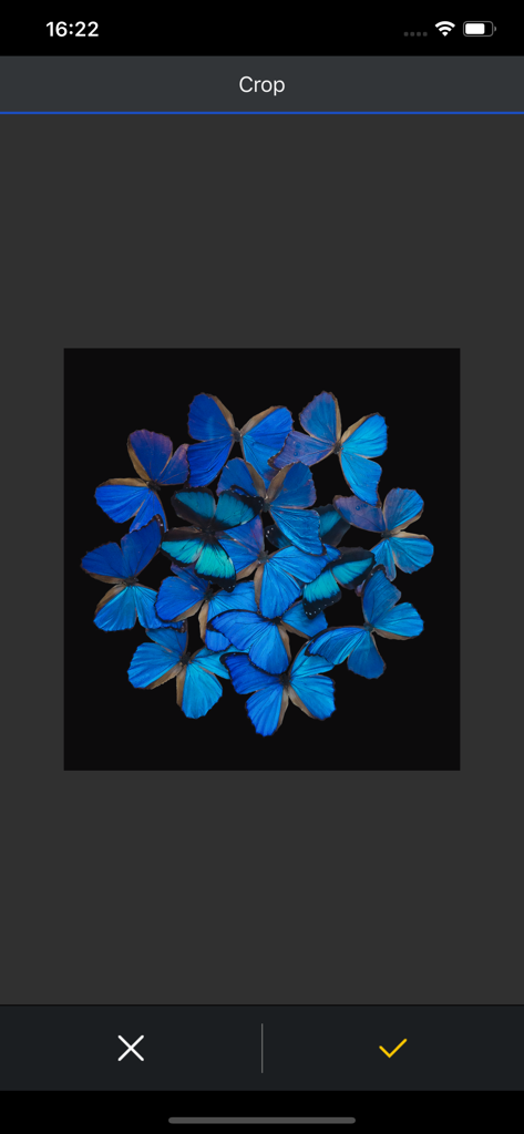 Herramienta de recorte de la aplicación Epson Print Layout que muestra una vibrante disposición de mariposas azules sobre un fondo negro