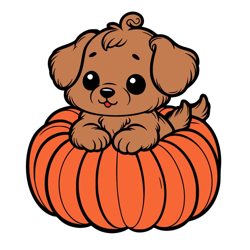 cute little puppy in a pumpkin