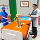 Pet Dog Simulator - Pet Vet