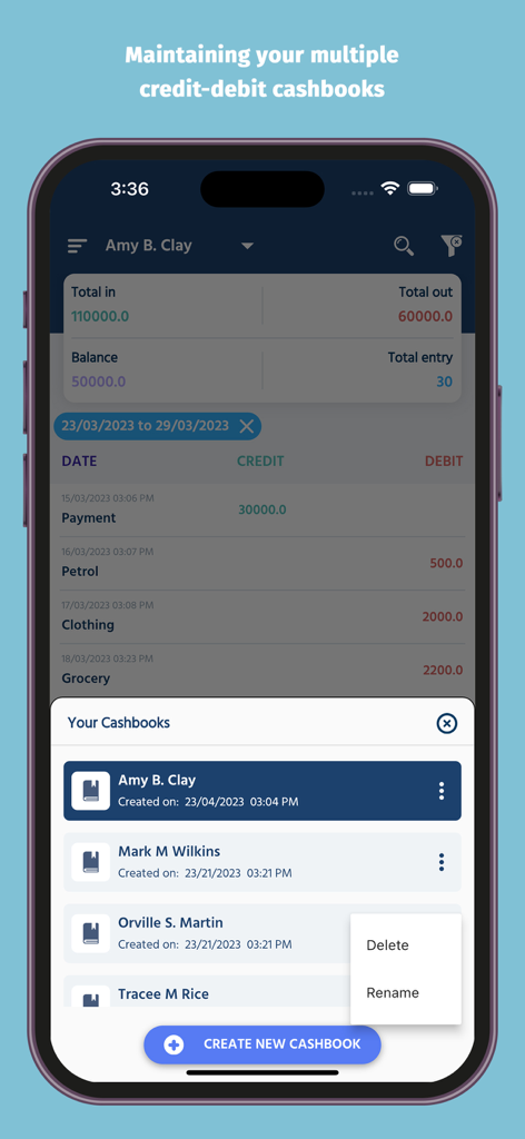 Interface mostrando múltiplos diários de caixa digitais para rastreamento de débito e crédito