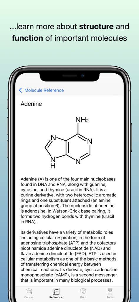 Codon One: Learning Biology - Codon One app screen displaying Adenine chemical structure and biological description