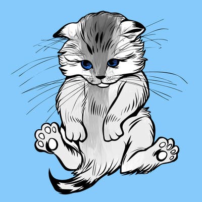 animals_20