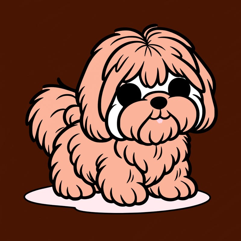 shih tzu
