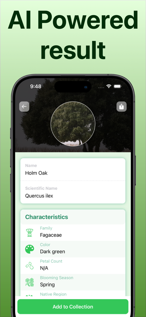 Tree Identifier: Tree id - La aplicación Tree Identifier mostrando resultados de identificación impulsados por IA para un Roble de Encina con características botánicas