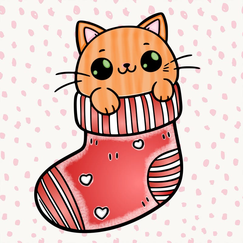 cute cat in a sock