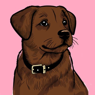 dog realistic