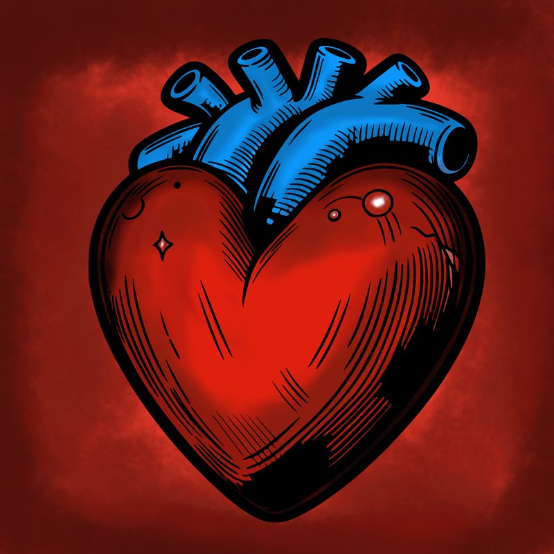 realistic heart