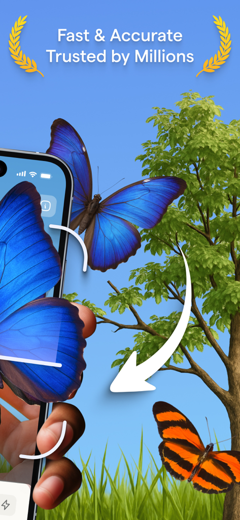 Identifier - Insect IQ - A smartphone identifying a blue butterfly in a garden with the Insect IQ app.