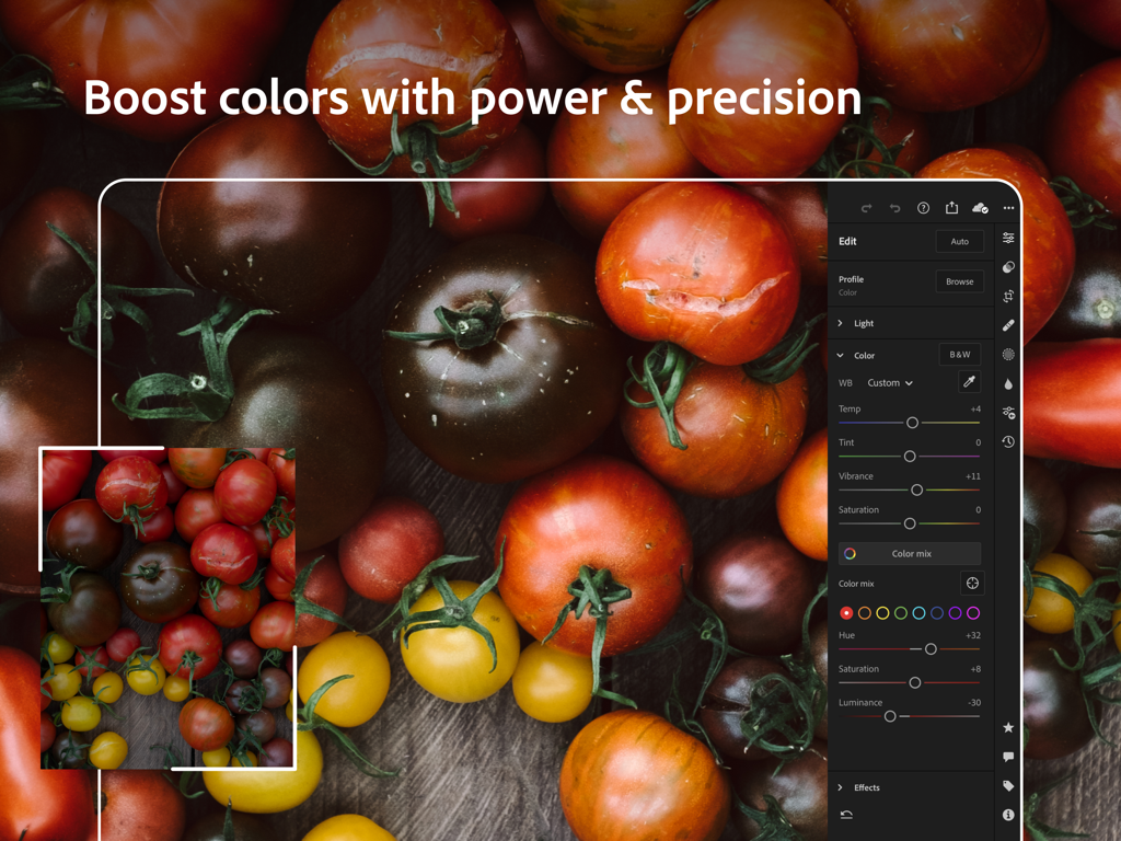 Interface d'Adobe Lightroom pour iPad illustrant la retouche précise des couleurs et les ajustements de vibrance sur une photo de tomates.