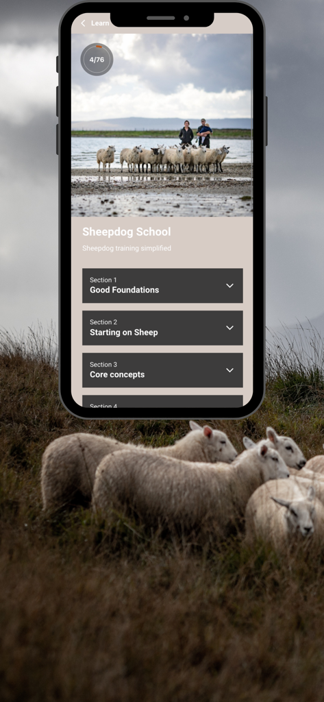 Sheepdog School - Sheepdog School app interface showing herding dog training curriculum and lessons
