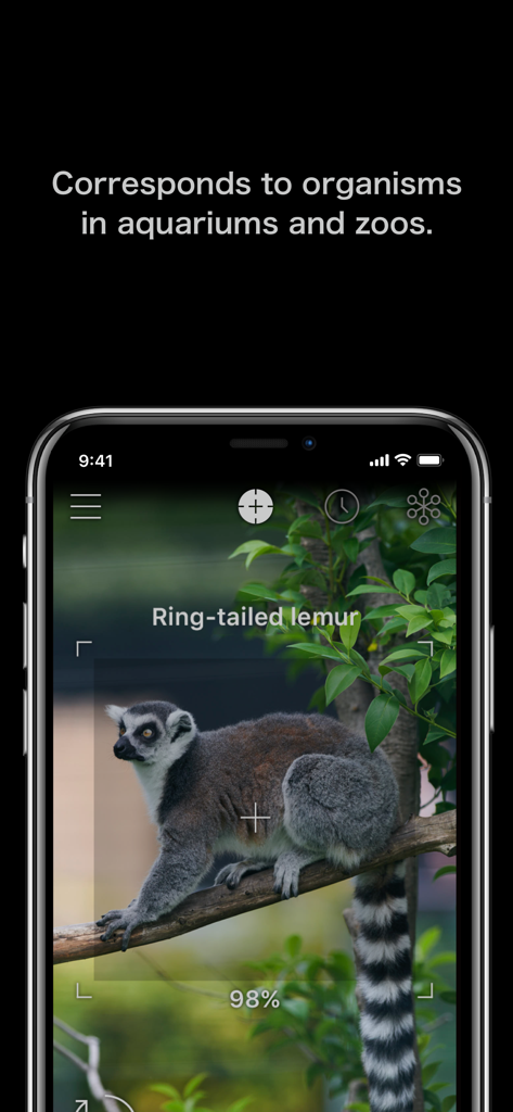LINNÉ LENS - AI Encyclopedia - LINNE LENS AIアプリがワオキツネザルを98％の精度で識別している様子