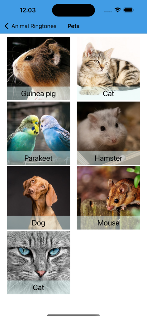 Una galería de imágenes de animales de compañía, incluyendo gatos, perros y hámsteres, para seleccionar timbres divertidos.