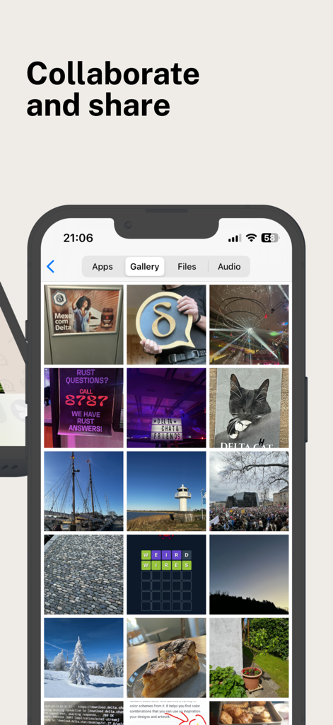 Delta Chat app gallery view on iPhone showing shared photos and media