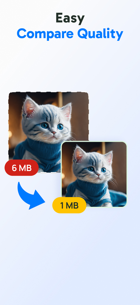 6MBから1MBに削減された写真で、画質を維持した比較