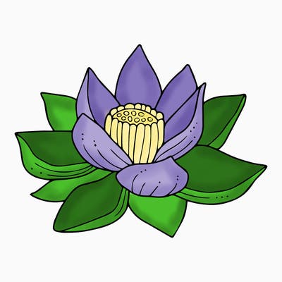 flowers_08