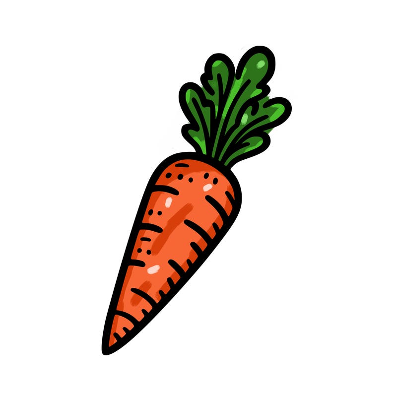 a simple carrot with thin lines for coloring book