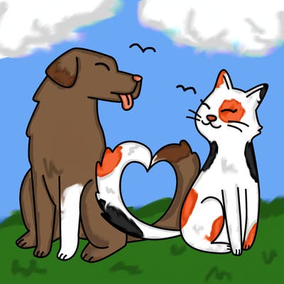 animals_22