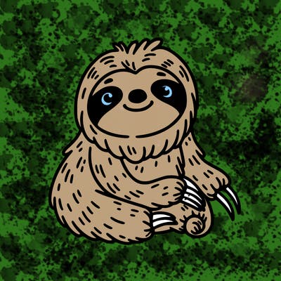 sloth