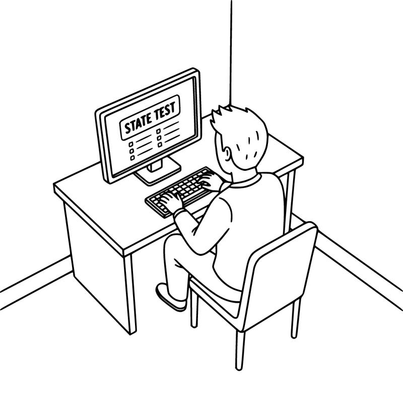 person on a computer doing state testing