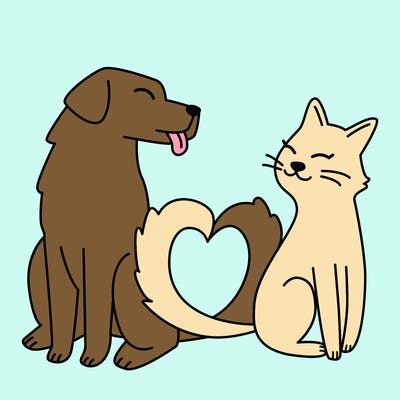 animals_22