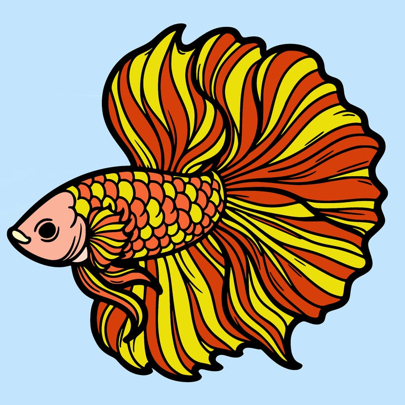 betta fish