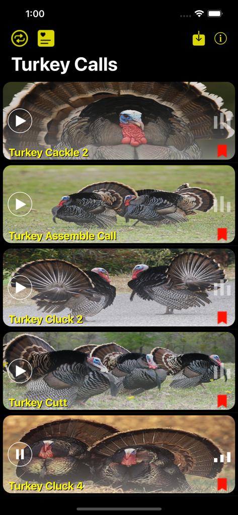 Interface of the Turkey Hunting Calls App showing a list of various turkey sounds and calls with play buttons
