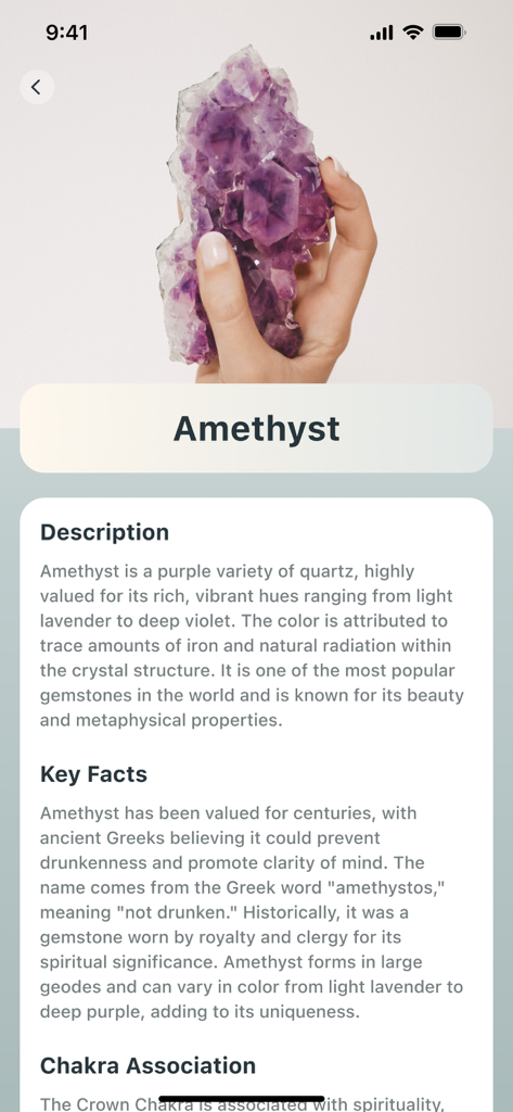 RockLens - Stone & Gemstone ID - Smartphone screen showing the identification of an amethyst crystal with descriptive facts and metaphysical information