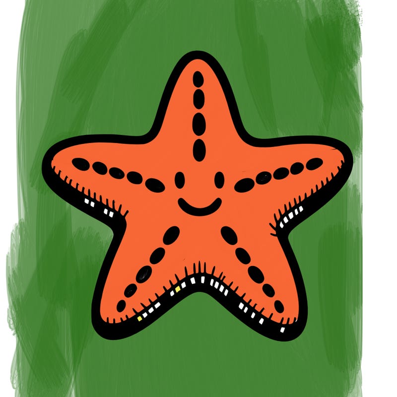 starfish
