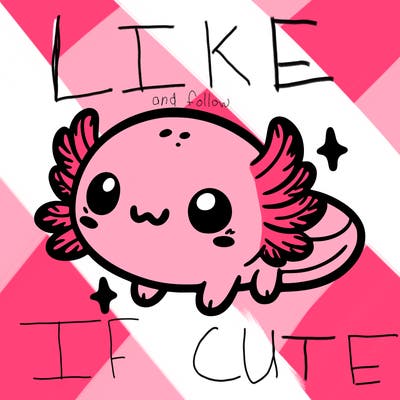 cute easy baby axolotl