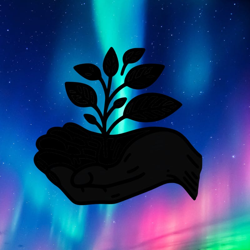 hand with plant