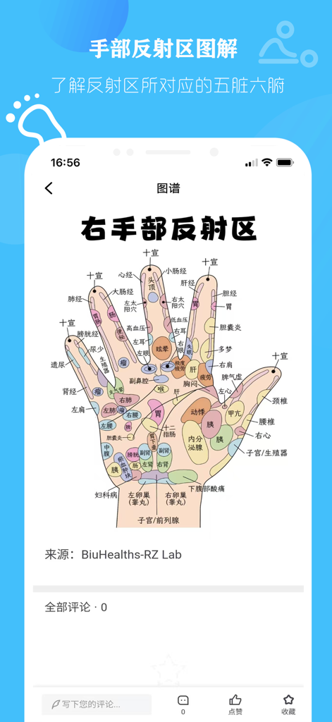 人体反射区 — 反射穴位与中医反射疗法研究 - A detailed diagram of reflexology points on the right hand representing internal organs in a TCM medical app