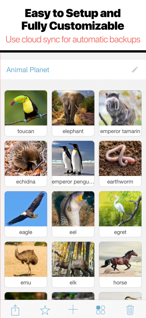 Bitsboard Flashcards PRO - Interface of the Bitsboard PRO app showing a customizable animal flashcard library titled Animal Planet with cloud sync features