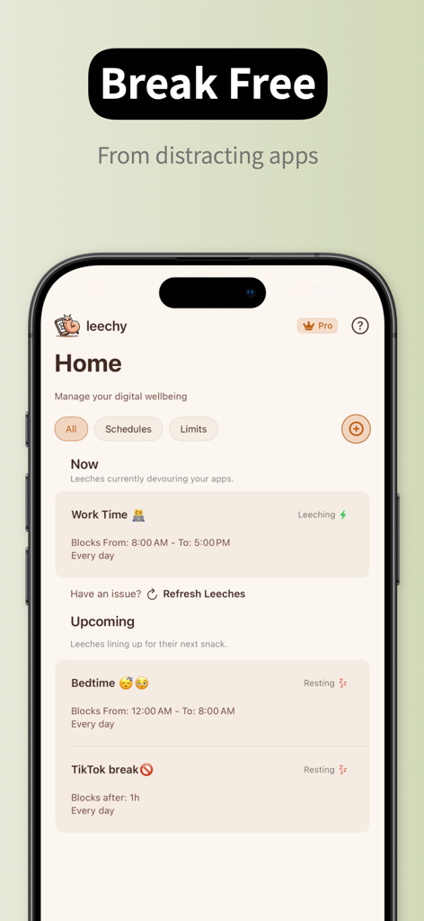 App Time Limit: Screen Leech - Screen Leech app home screen showing digital wellbeing schedules for work time and bedtime