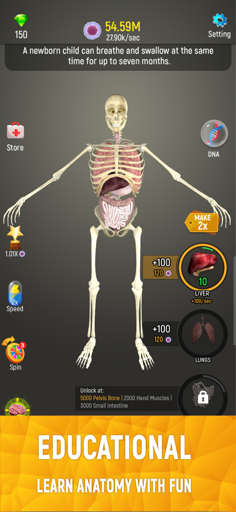 3D human skeleton with internal organs being built in the Idle Human game interface