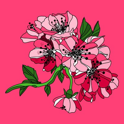 flowers_03