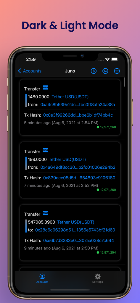 Ethereum Wallet Tracker - Ethereum Wallet Tracker app interface in dark mode showing USDT transfer history on an iPhone