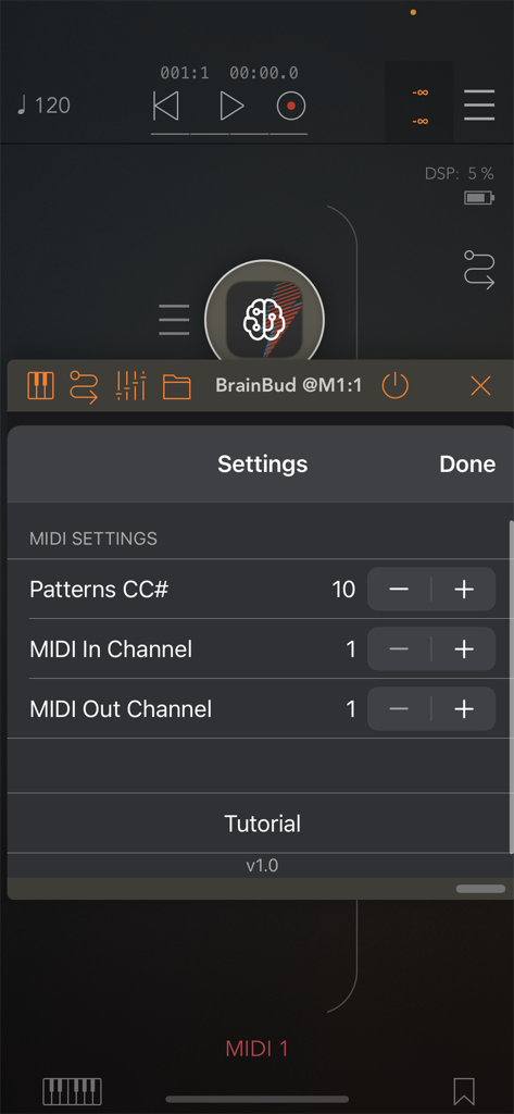 BrainBud - Bud App Controller - Pantalla de configuración MIDI de la aplicación BrainBud mostrando opciones de configuración para patrones y canales MIDI