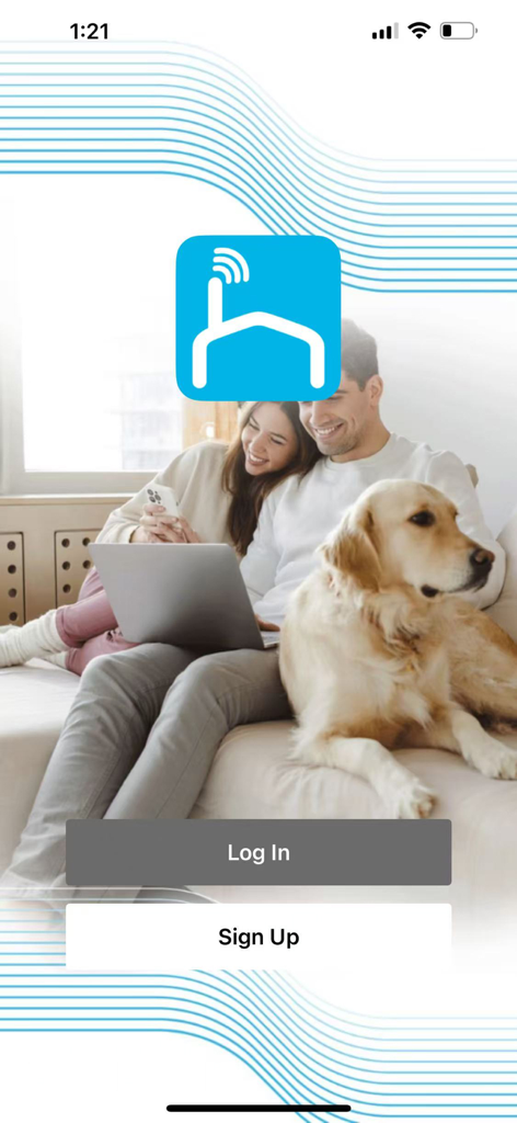 Steren Home app login and signup screen featuring a couple with their dog in a living room background