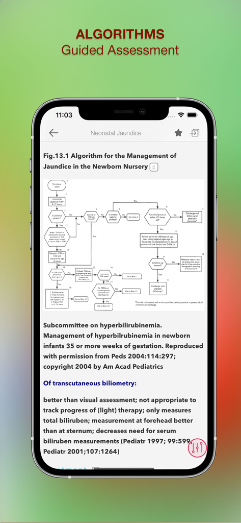 Clinical assessment algorithm for neonatal jaundice management within the Nursing Essentials app