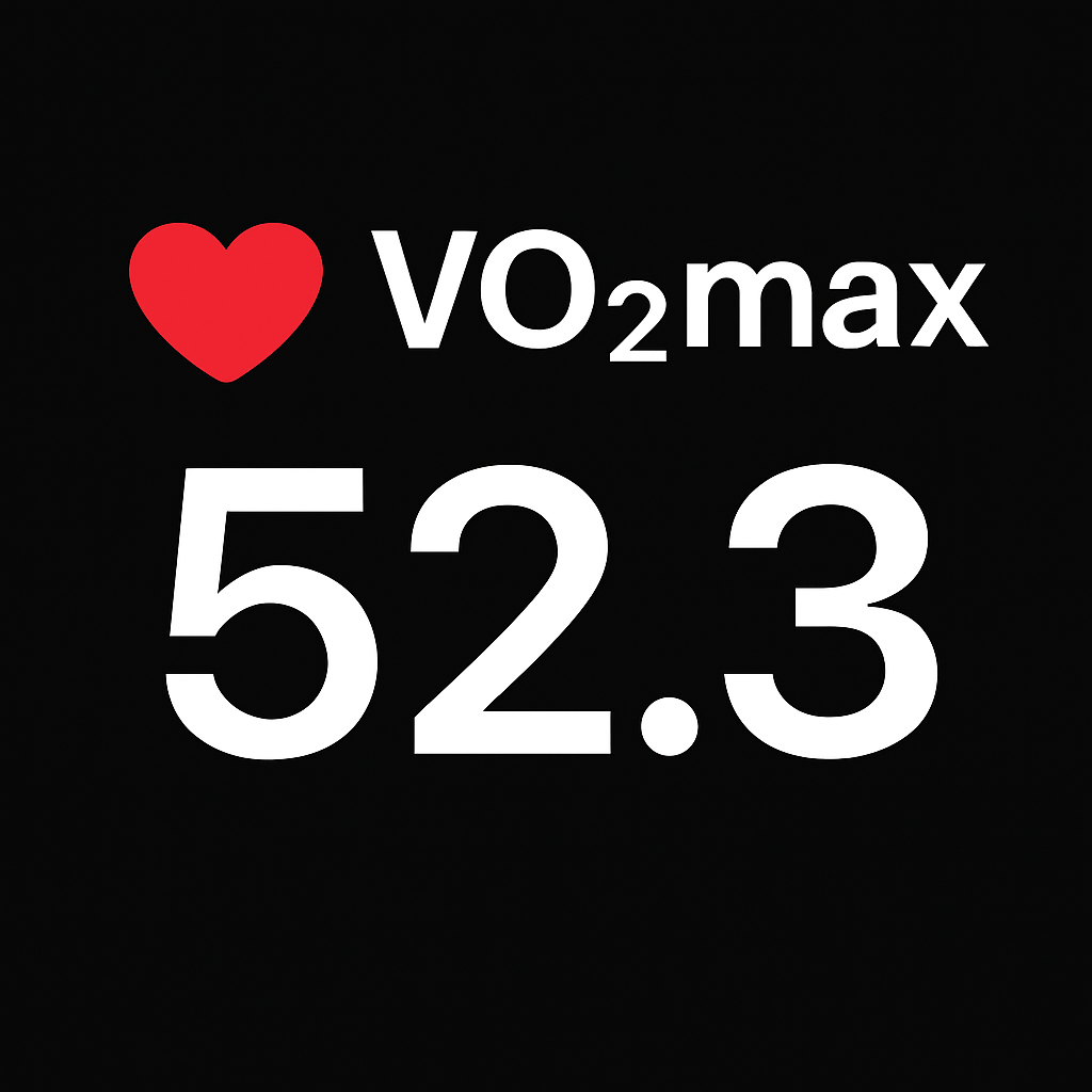 VO2 max Hero - AI Tracker