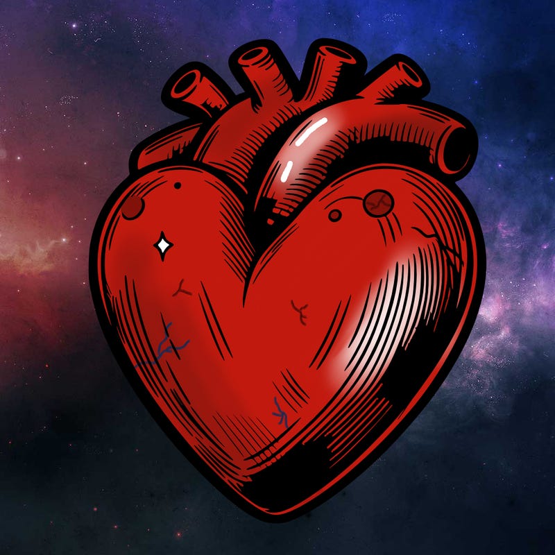 realistic heart